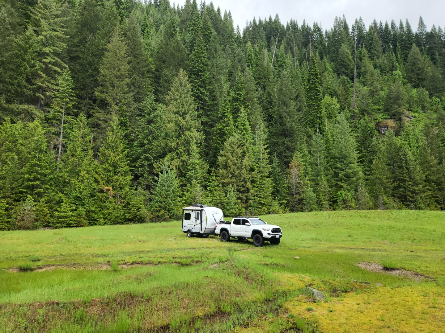 White toyota tacoma with RV parked in middle of forest.